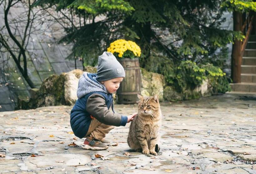 ホテル Bacówka Biały Jeleń