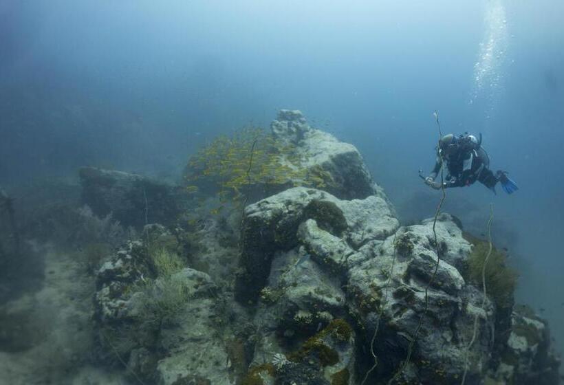 هتل Diver S House