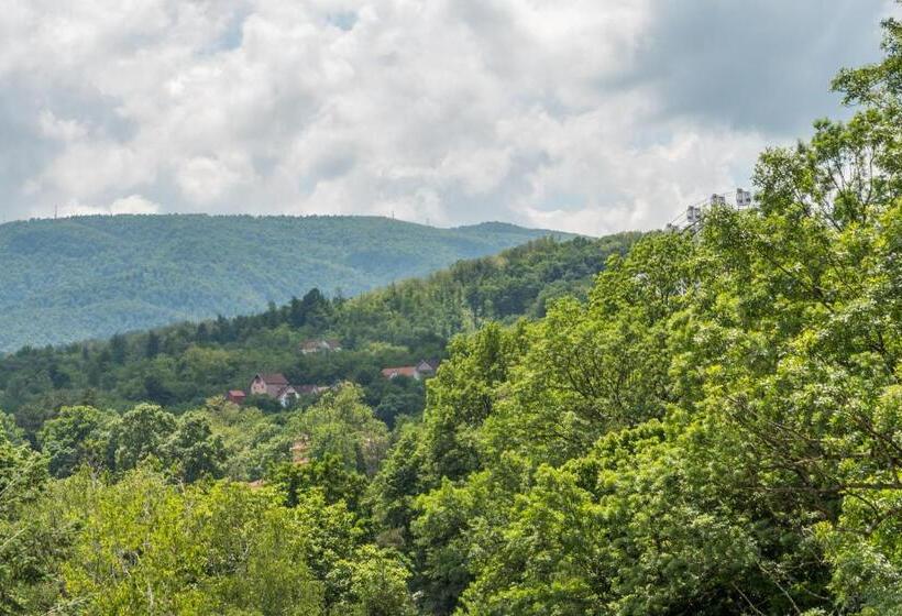 هتل Emilia Lux Rooms