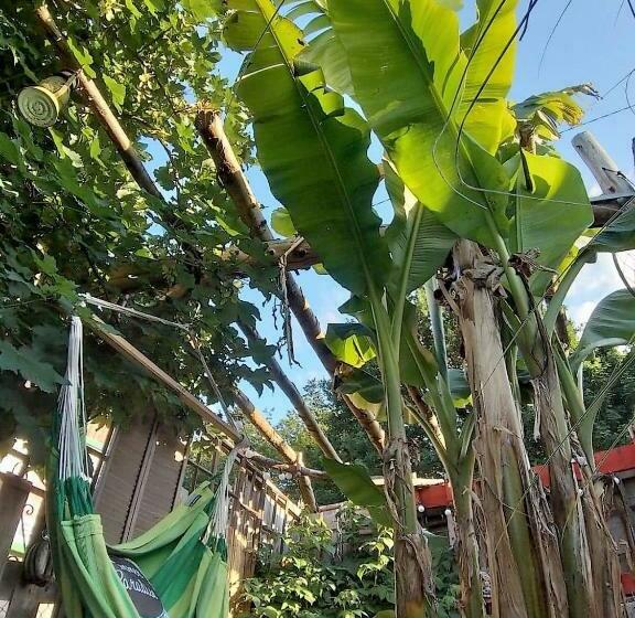 住宿加早餐  Le Deck Halage