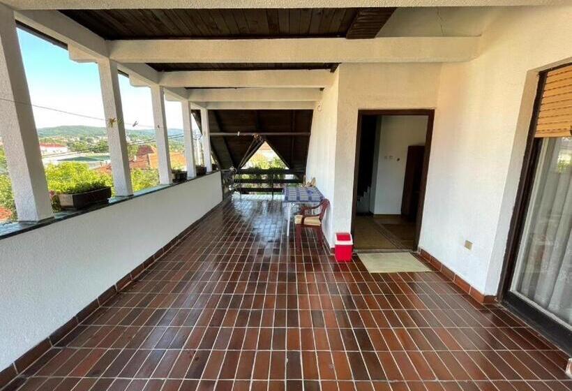 پانسیون Vidikovac Vrnjačka Banja