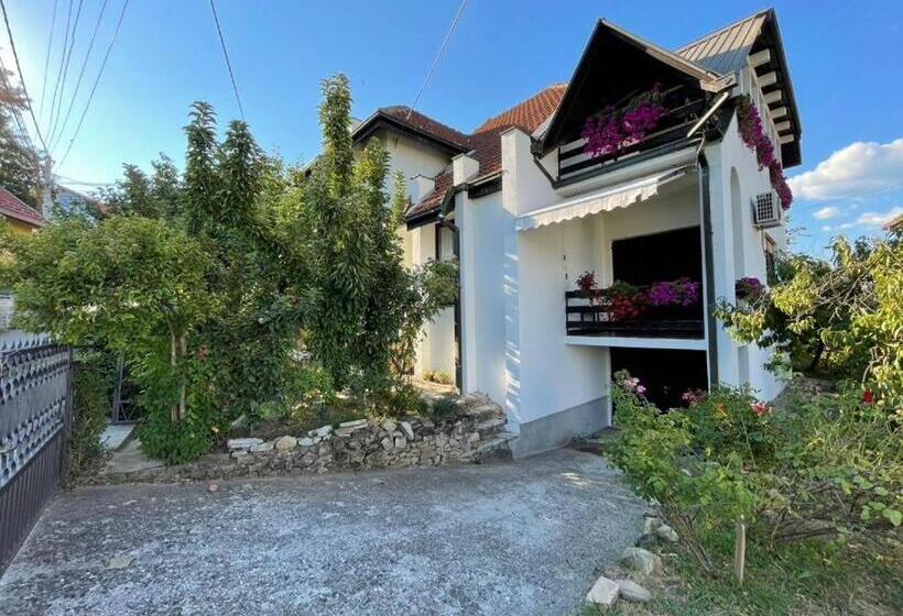 پانسیون Vidikovac Vrnjačka Banja