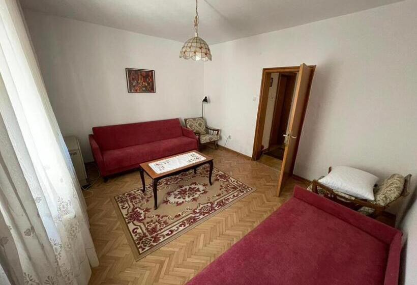 پانسیون Vidikovac Vrnjačka Banja