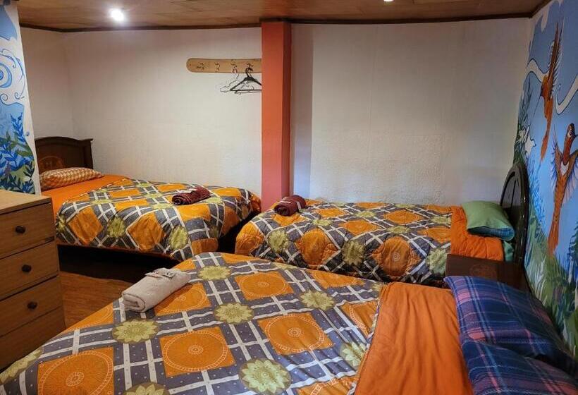 فندق صغير La Minga Hostal