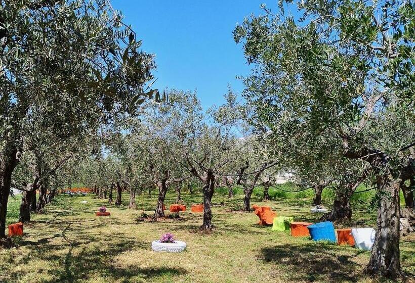 مبيت وإفطار Colline Del Sole