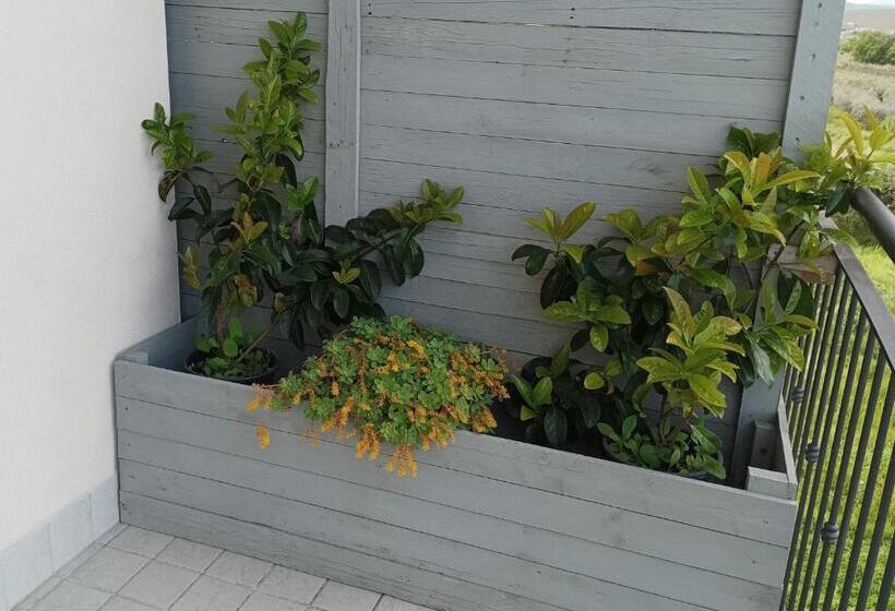 مبيت وإفطار Colline Del Sole