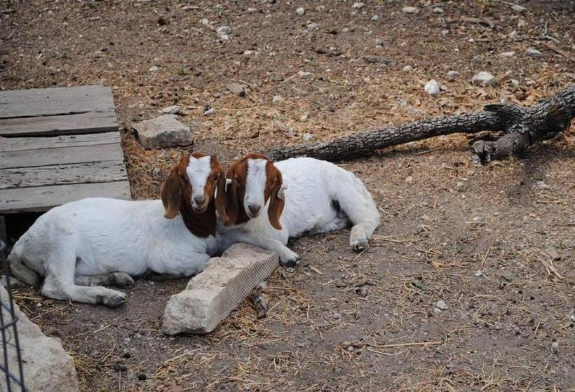 민박 Last Outpost Bandera Ranch House