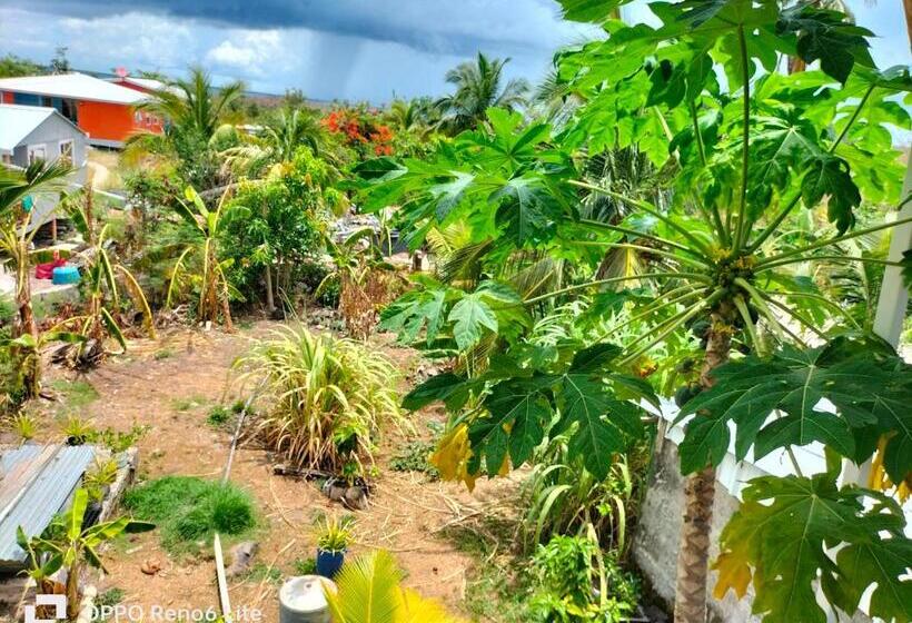 تختخواب و صبحانه Mary & Matt Lodge