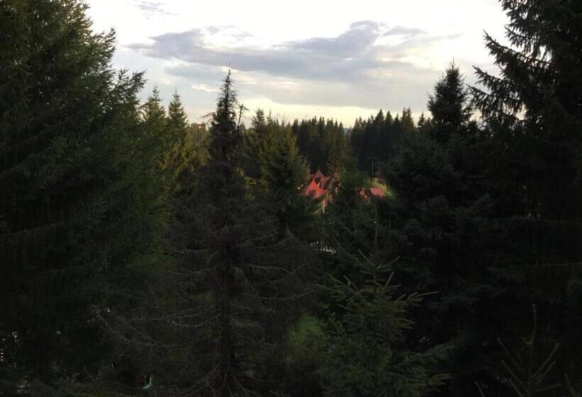 فندق Highland