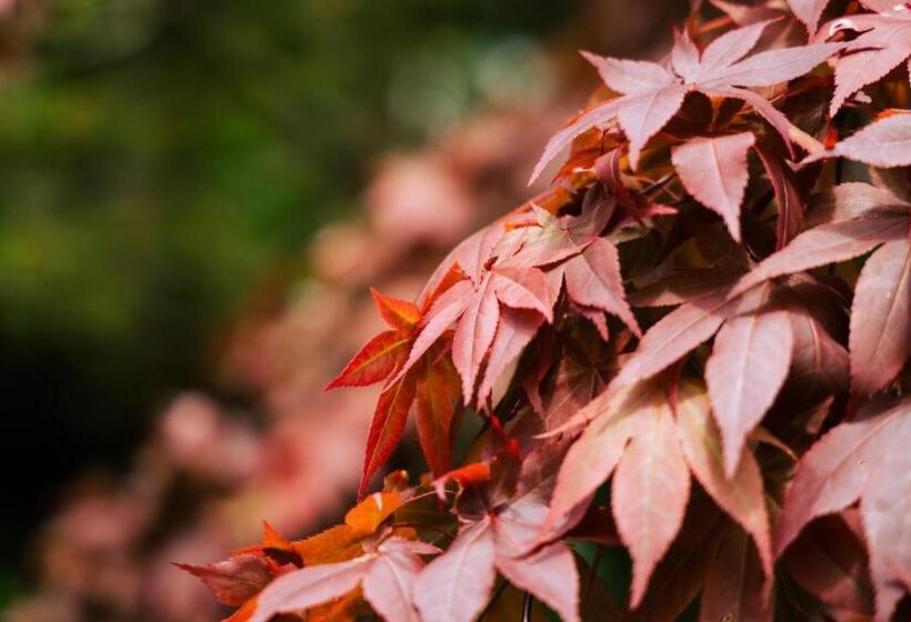 Pansiyon 木木木木 Kigi Moku Moku