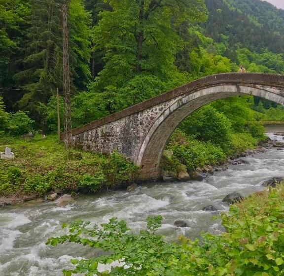 בית מלון כפרי Dd Boutique