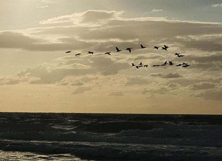 پانسیون O Vilarejo   Lagoa Da Conceição
