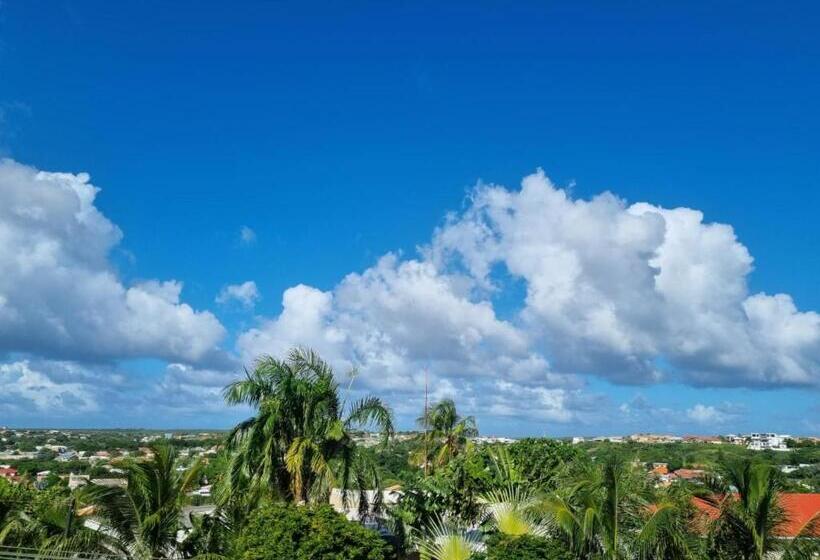 پانسیون Studio Apartment Volterra Curacao