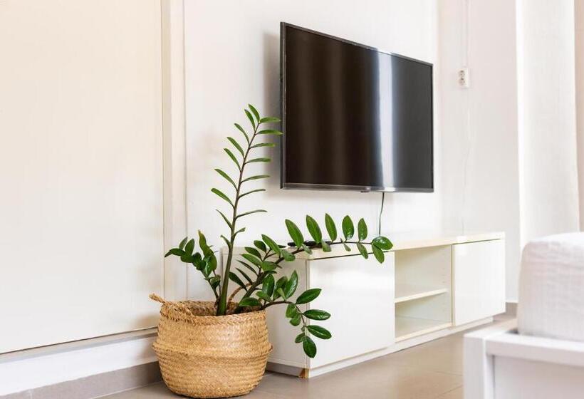 پانسیون Studio Apartment Volterra Curacao