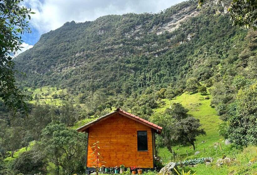 ベッドアンドブレックファースト Rincón Entre Piedras Cabaña Entre Montañas