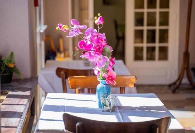 ホテル Céline Hôtel Le Miridan