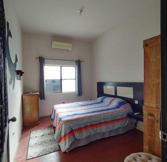 پانسیون Sunset Hostel   Centro
