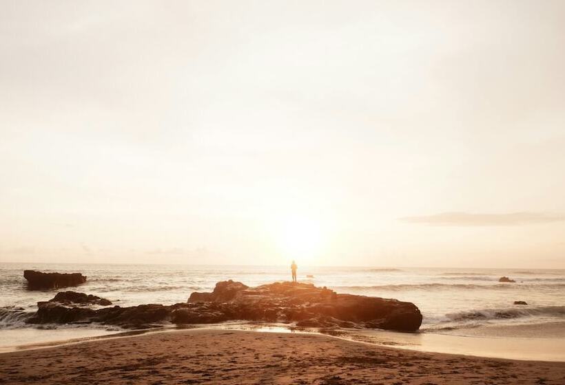 هاستل Roomates Surf Camp Canggu By Ini Vie Hospitality