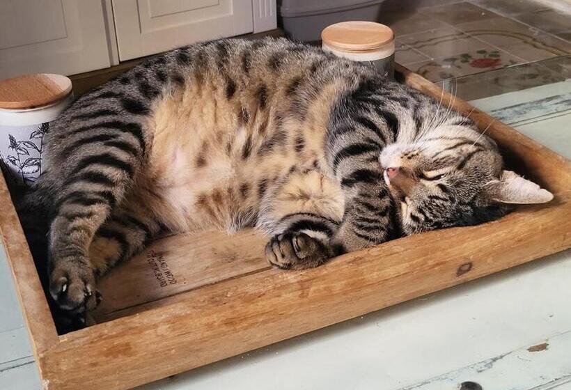 ベッドアンドブレックファースト Boutique Hotel El Capricho