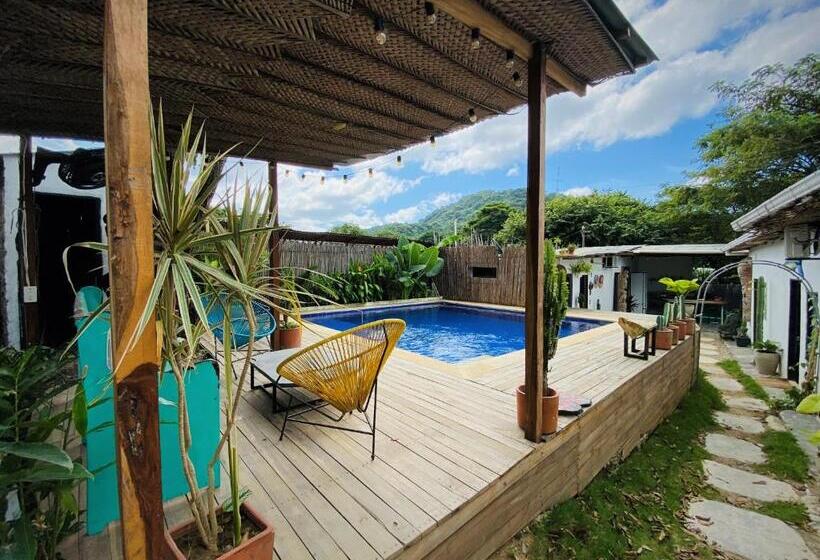 هتل Renasci Palomino