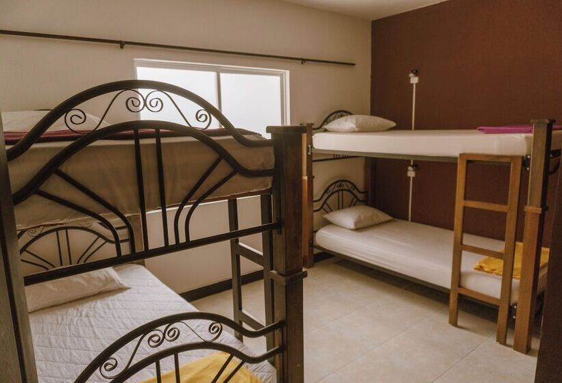 هتل Tuki Hostel & Lounge