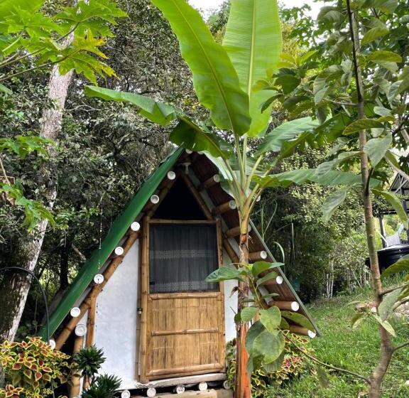 هتل Villa Anita   Acuérdate De Mi