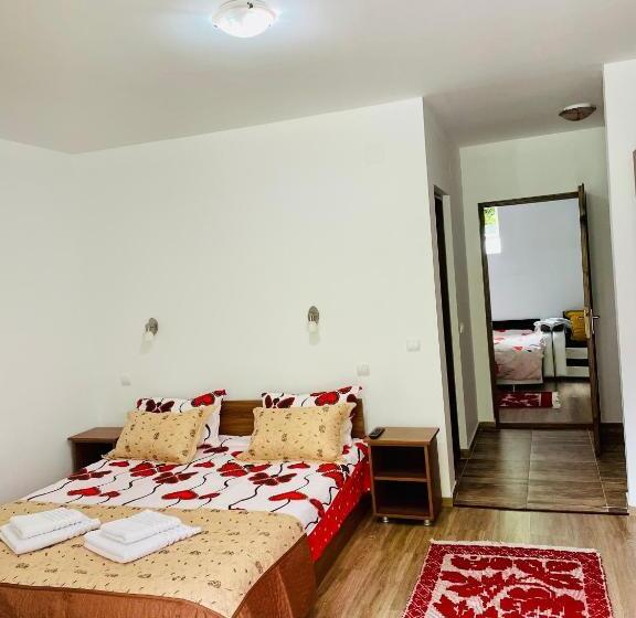 ホテル Pensiunea Cheile șugăului