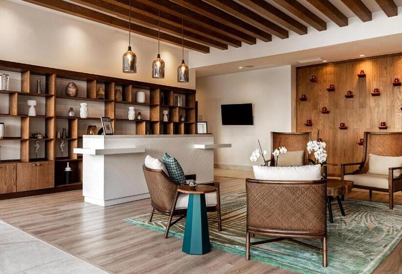 Dreams Cap Cana Resort & Spa All Inclusive