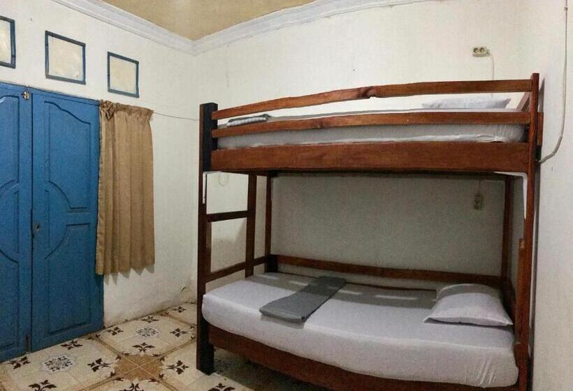 The House Hostel