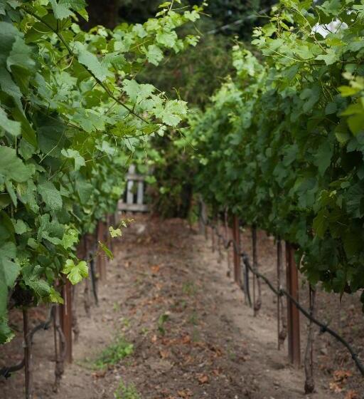 مبيت وإفطار Craftsman Inn