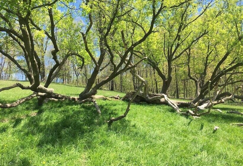 تختخواب و صبحانه Rainbow Ridge Farms