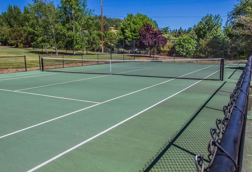 مبيت وإفطار The Willows