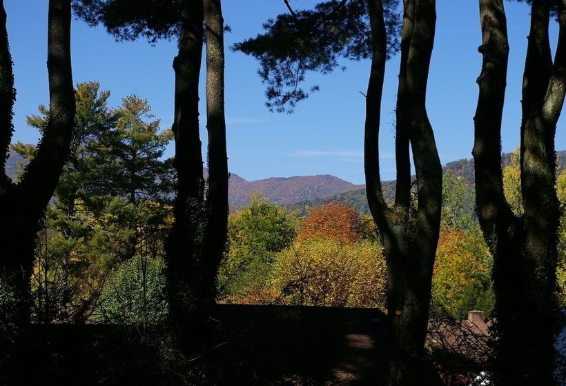 Brookside Mountain Mist Inn B&b