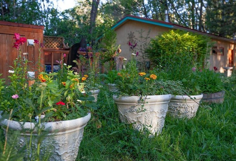 Dreamcatcher B&b