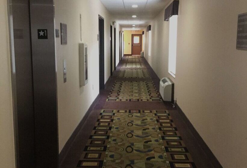 בית מלון כפרי Americas Best Value Inn Saint Robert/fort Leonard Wood