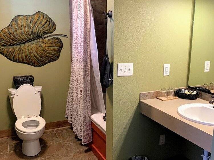 בית מלון כפרי Iowa House Historic Inn