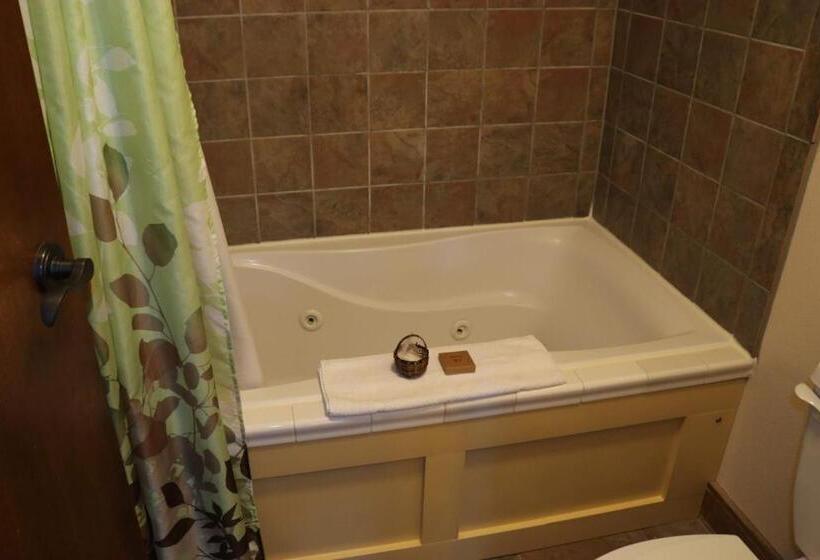 בית מלון כפרי Iowa House Historic Inn