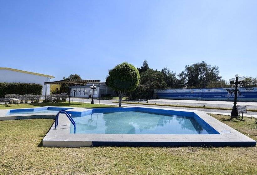 هتل Jm Ejecutivo Celaya,centro Histórico