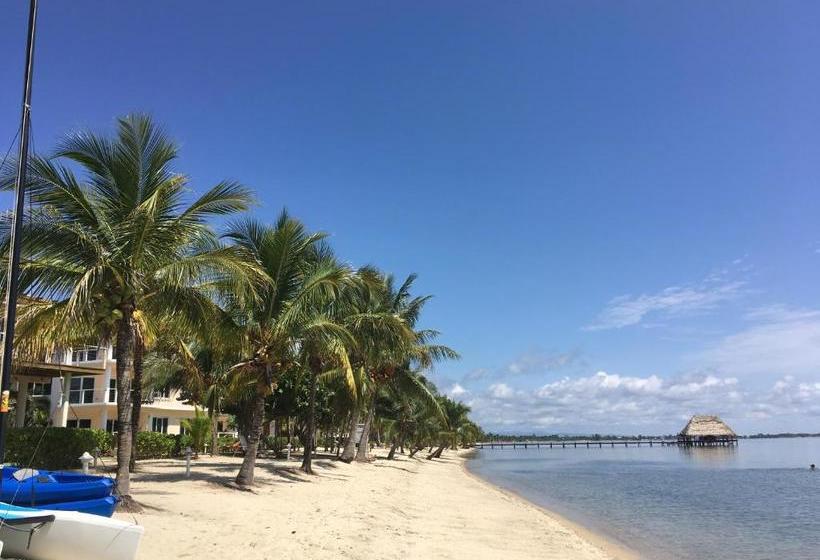 בית מלון כפרי Laru Beya All Inclusive Resort