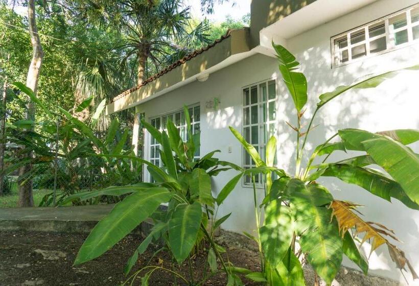 Villas Bambu