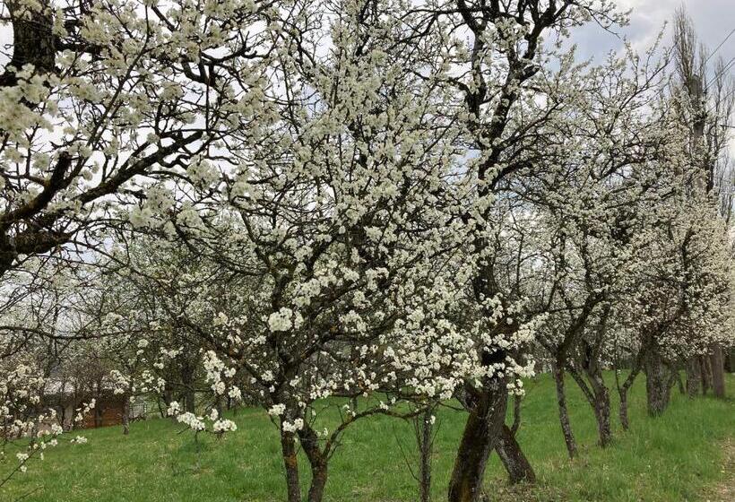 تختخواب و صبحانه Logis125 I Barbara Hofmann