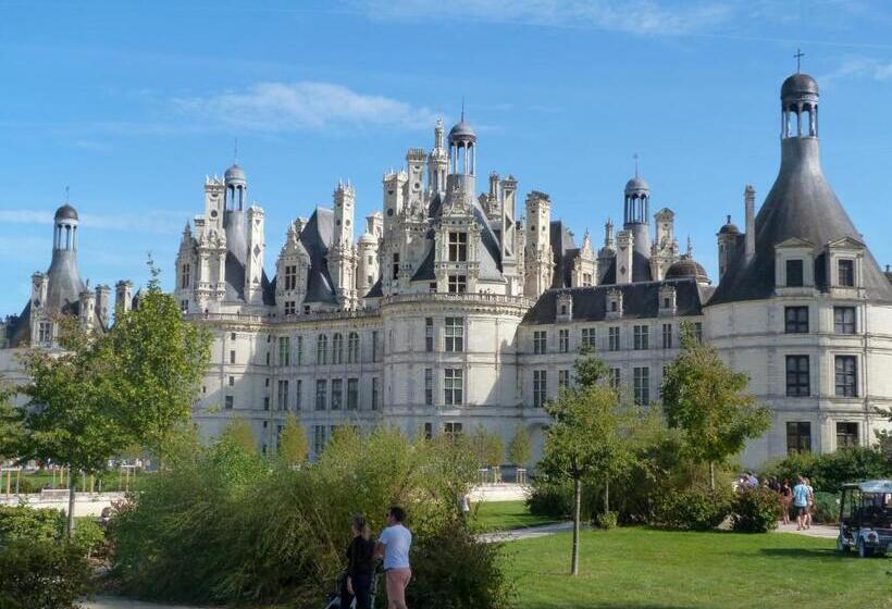 민박 Chambres Entre Romorantin Chambord Zoo De Beauval