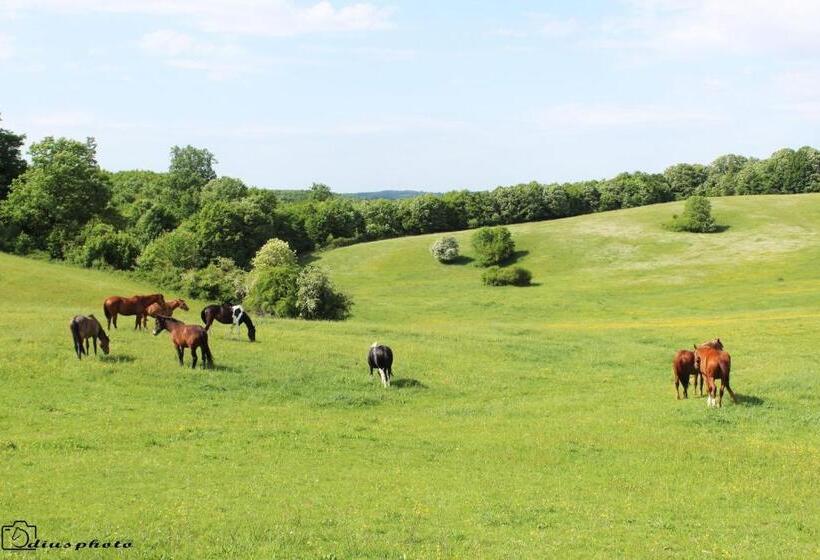 مبيت وإفطار Rácz Tanya és Panzió