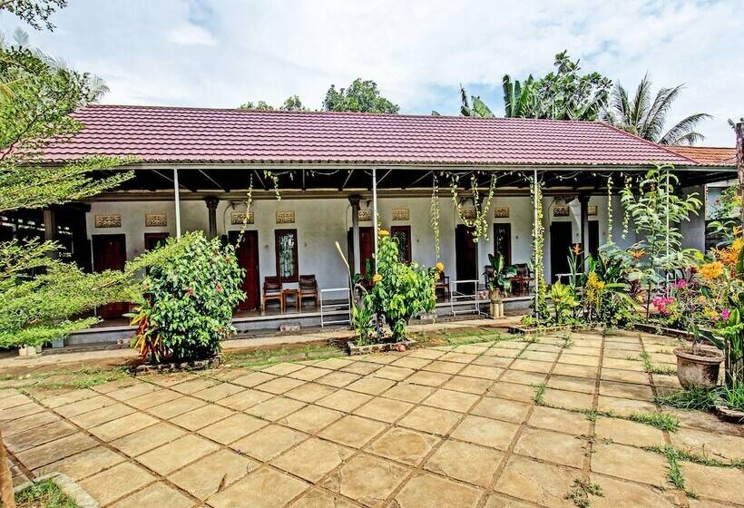 בית מלון כפרי Swan Homestay