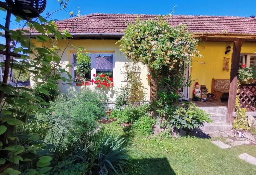 פנסיון Casa Otilia