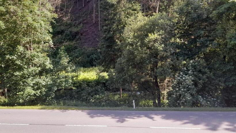 بنسيون Gasthof Wabitsch