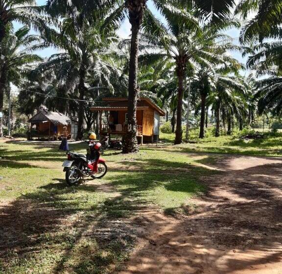 هاستل Som Palmgarden