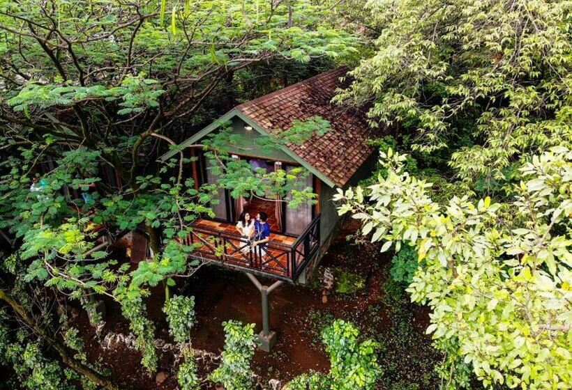 Anandvan Resort