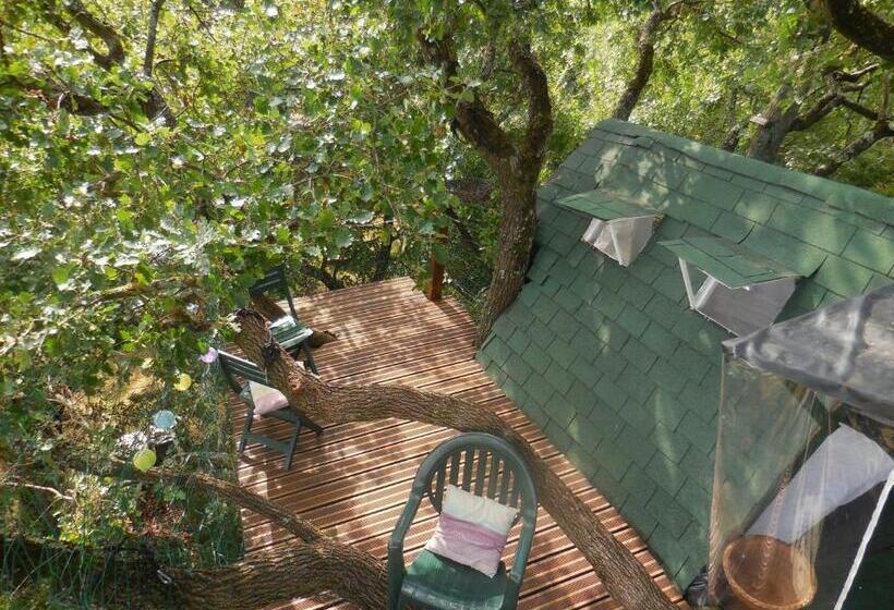 B&b La Cabane Insolite