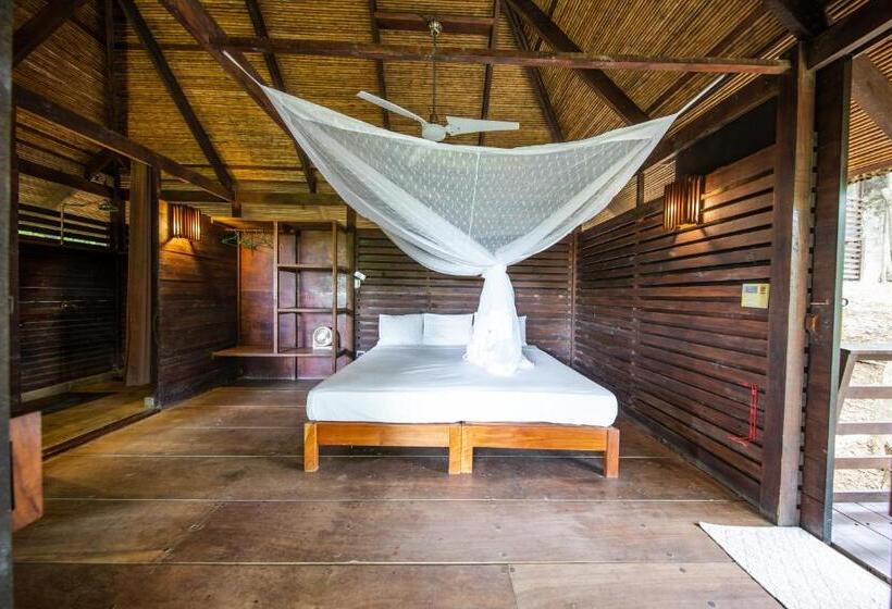 فندق Buena Vista Surf Club